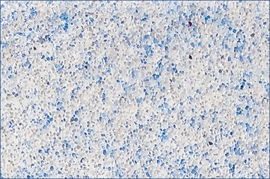 King Pools & Spas - Plaster