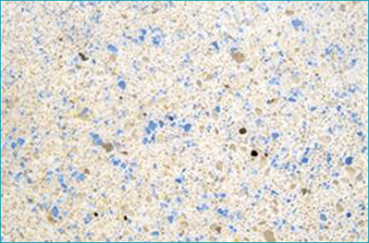 King Pools & Spas - Plaster