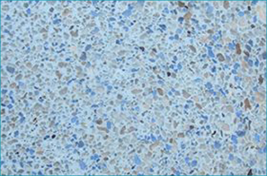 King Pools & Spas - Plaster